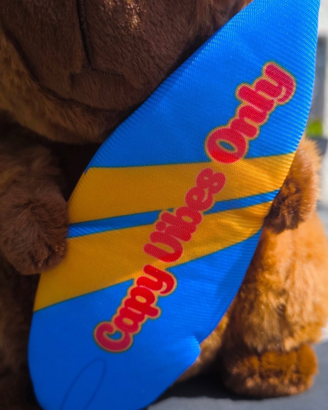 Peluche Capybara Surfers - Capy Vibes Only